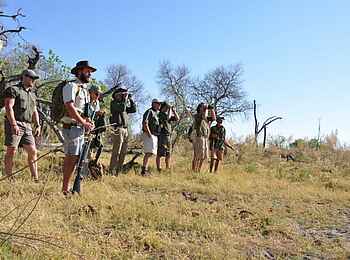 Kwapa Camp: Beobachten bei einer Wandersafari Kwapa Camp: Beobachten bei einer Wandersafari