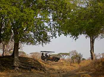 Ruaha River Lodge: Game Drive Ruaha River Lodge: Game Drive