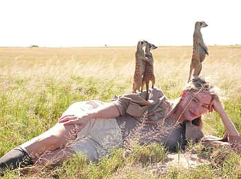 San Camp: Habituierte Erdmännchen