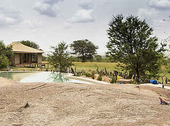 Sayari Camp: Rockpool Sayari Camp: Rockpool