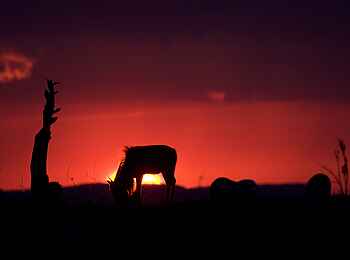 Serian Camp: Sonnenuntergang