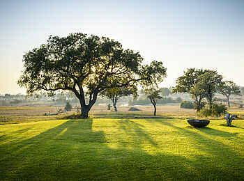 Singita Castleton: Rasen mit Wasserloch im Hintergrund Singita Castleton: Rasen mit Wasserloch im Hintergrund