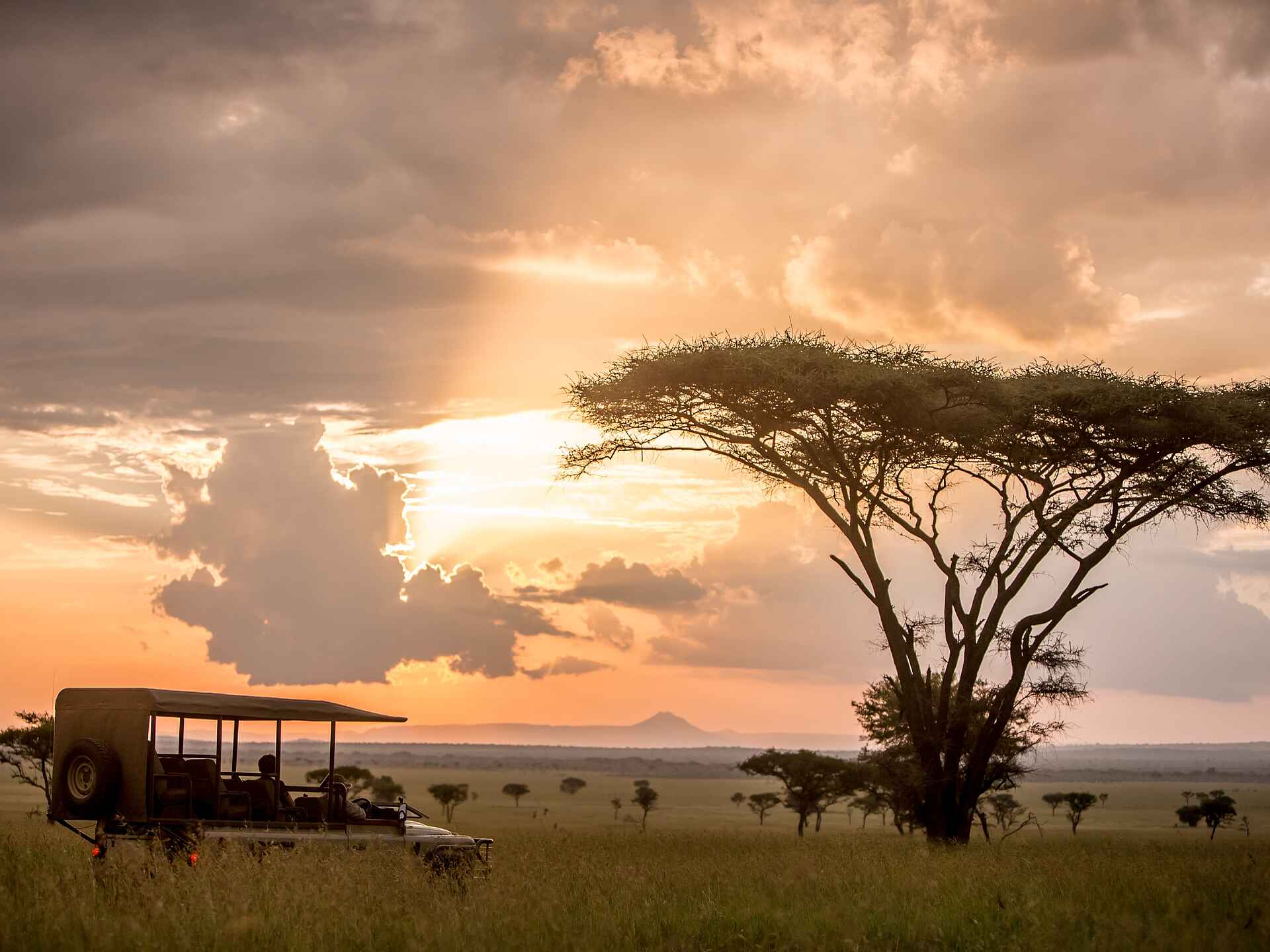 Singita Faru Faru: Sundowner Pirschfahrt
