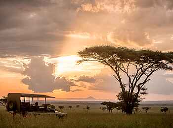 Singita Faru Faru: Sundowner Pirschfahrt