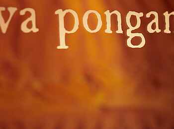 The Olive Exclusive: Namib - Dekoration