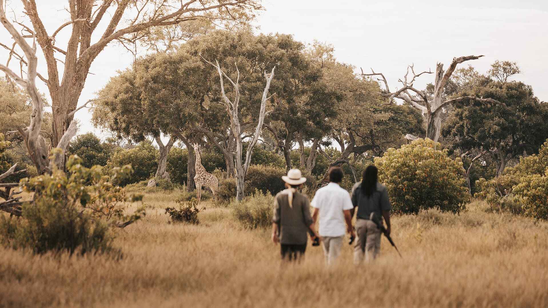 Vumbura Plains Camp: Walking Safari Vumbura Plains Camp: Walking Safari