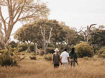 Vumbura Plains Camp: Walking Safari