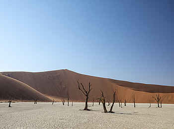 Kwessi Dunes Lodge: Dead Vlei