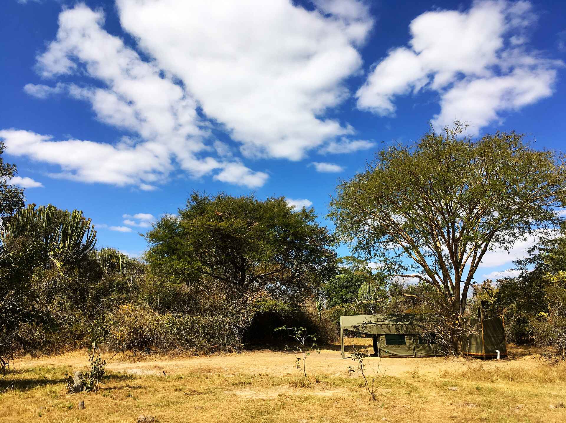 Busanga, Busanga Plains, Bushcamp, J&M Safaris, Jeffrey & McKeith Safaris, Kafue National Park, Ntemwa Busanga Bushcamp, Gästezelt, Meruzelt, Afrikarma, Afrikarma Safaris, Afrikarma Safaris. Wildnis. Hautnah., Afrikarma.de