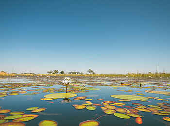 Belmond Eagle Island Lodge: Flusslandschaft Belmond Eagle Island Lodge: Flusslandschaft