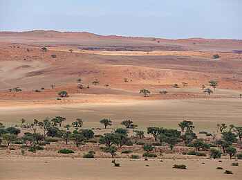 Desert Whisper Villa: Game Drive