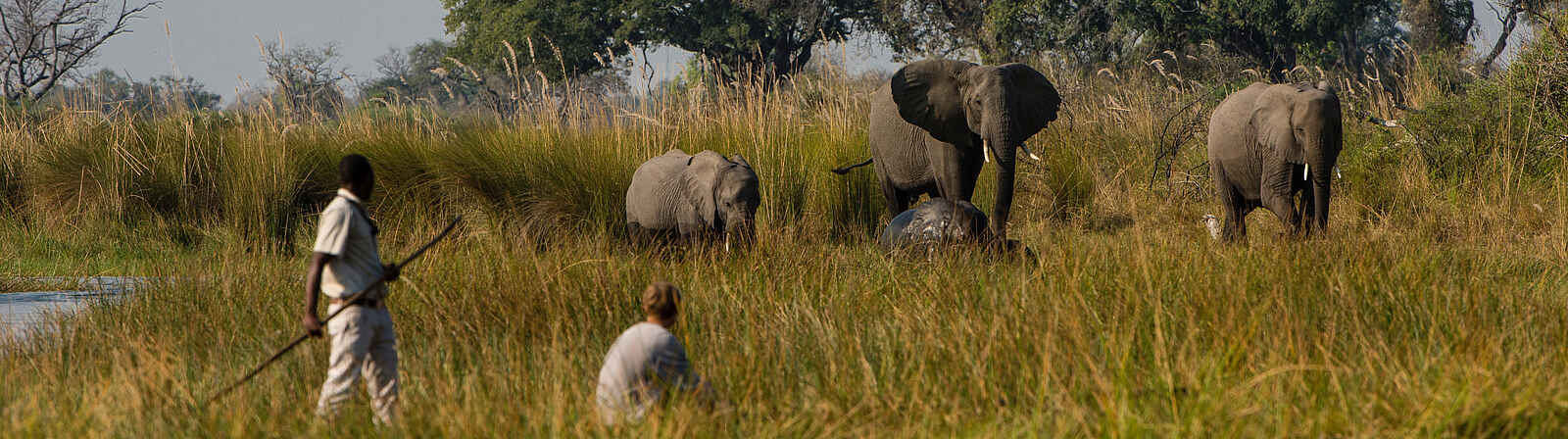 Duke's East: Elefantensichtung bei der Mokorofahrt Duke's East: Elefantensichtung bei der Mokorofahrt