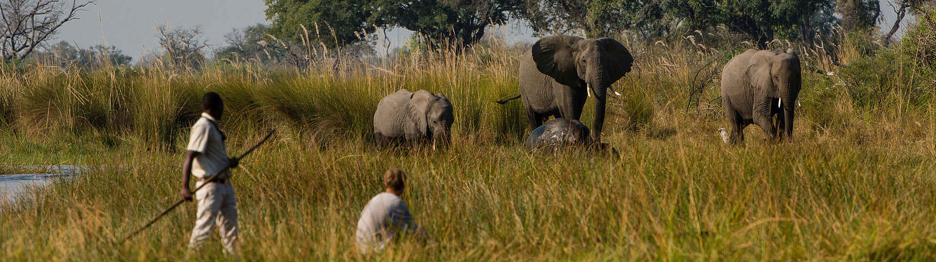 Elefantensichtung bei der Mokorofahrt
