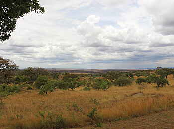 Lemala Kuria Hills: Aussicht von der Lodge