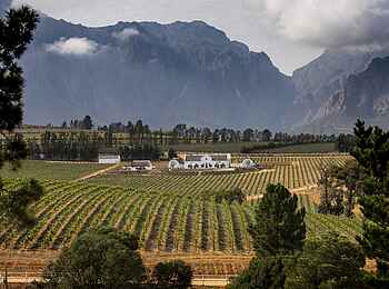 POD Camps Bay Boutique Hotel: Weingut vor Bergkulisse