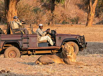 Time + Tide Chongwe: Nahe am Löwen