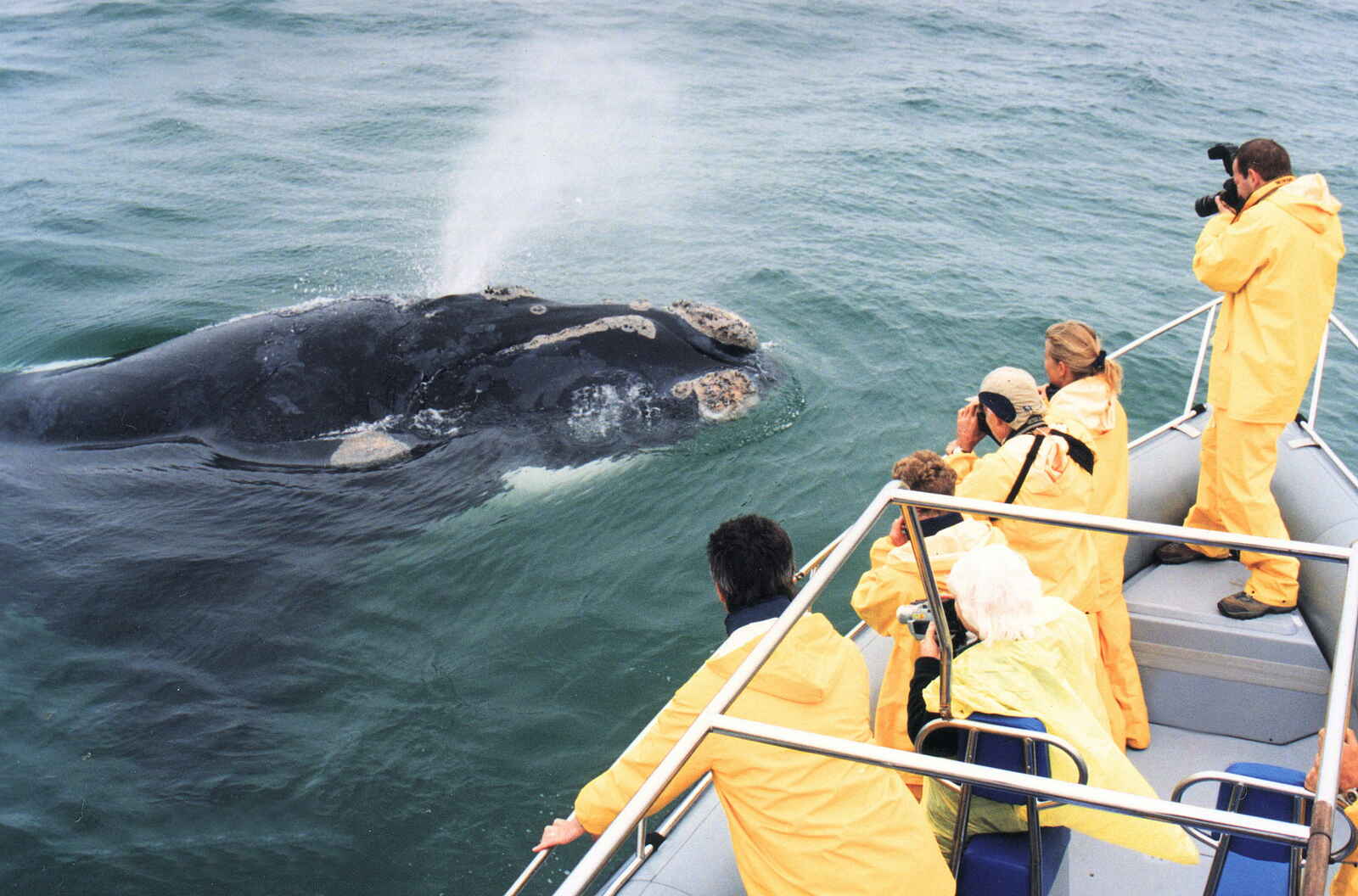 Grootbos Private Villas: Er bläst! Grootbos Private Villas: Er bläst!