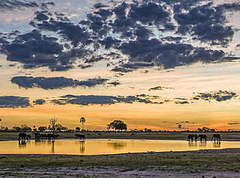 Linkwasha Camp: Landschaft des Hwange Linkwasha Camp: Landschaft des Hwange