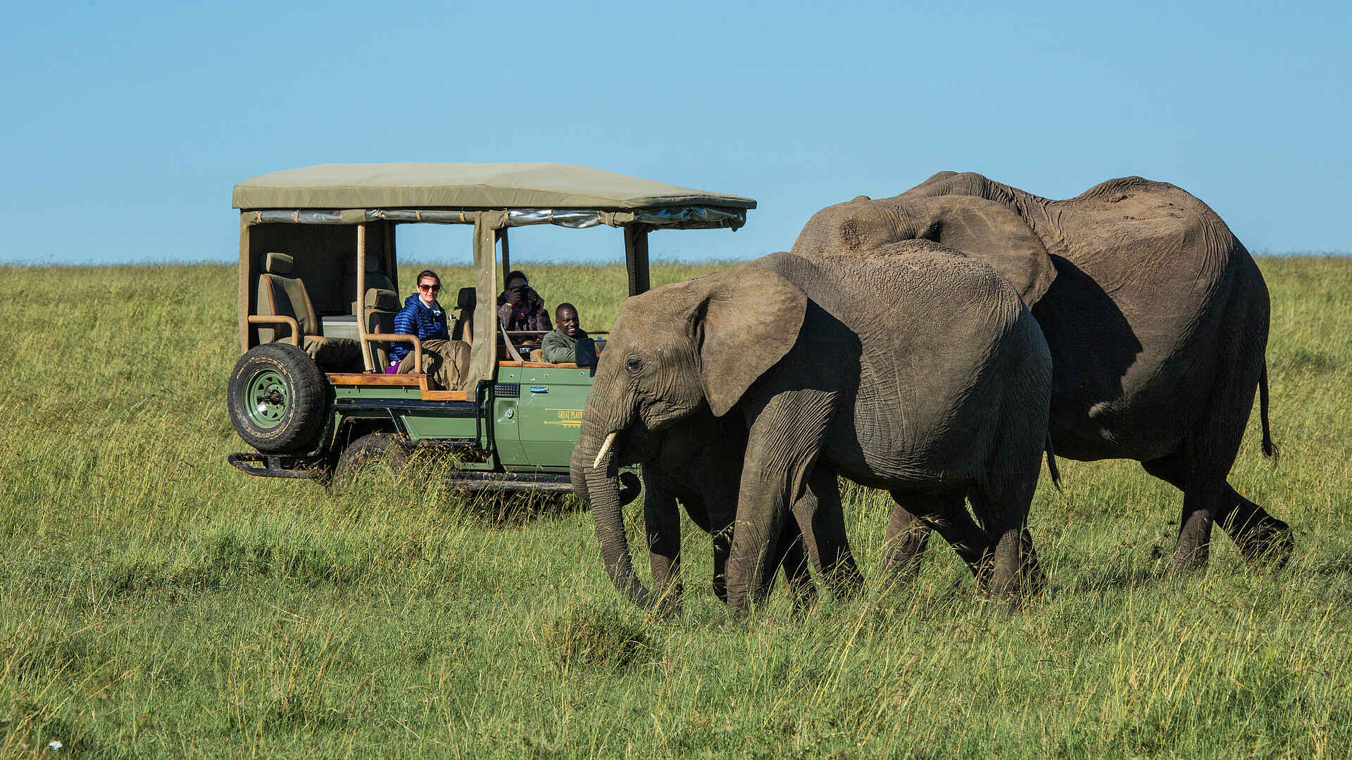 Mara Plains Camp: Auf Pirschfahrt