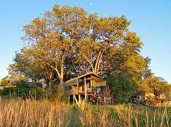 Nkasa Lupala Tented Lodge: Gästezelte unter Bäumen Nkasa Lupala Tented Lodge: Gästezelte unter Bäumen
