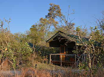 Sango Safari Camp: Gästezelt im Busch