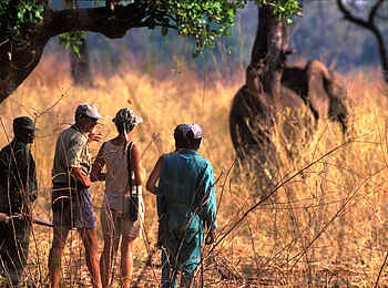 Tafika Camp: Walking Safari