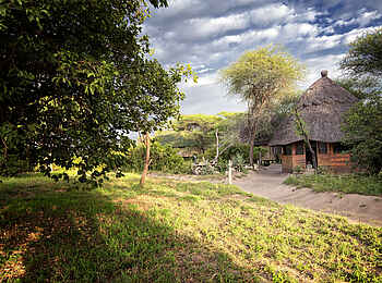Tarangire River Camp: Sandpfad zu den Zelten Tarangire River Camp: Sandpfad zu den Zelten