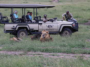 Inyati Game Lodge: Dem Löwen nahe
