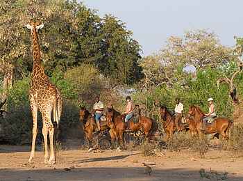 Mashatu Game Reserve: Größenvergleich
