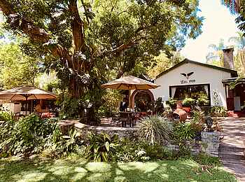 Mt. Meru Game Lodge: Im Garten der Lodge