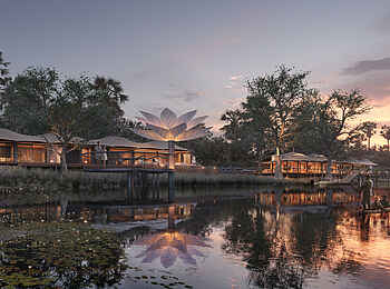 Xigera Safari Lodge: Panorama mit Seerose Xigera Safari Lodge: Panorama mit Seerose