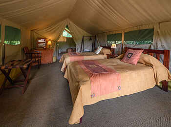 Governors' Camp: Twin Betten im Zelt Governors' Camp: Twin Betten im Zelt