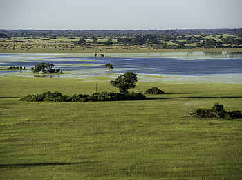 Jacana Camp: Wasserlandschaft im Delta Jacana Camp: Wasserlandschaft im Delta