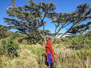 Lemala Osonjoi Lodge: Masai Lemala Osonjoi Lodge: Masai