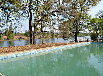 Leopard Lodge: Swimming Pool