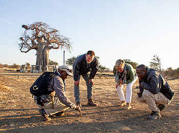 Mashatu Euphorbia Villas: Zu Fuss unterwegs