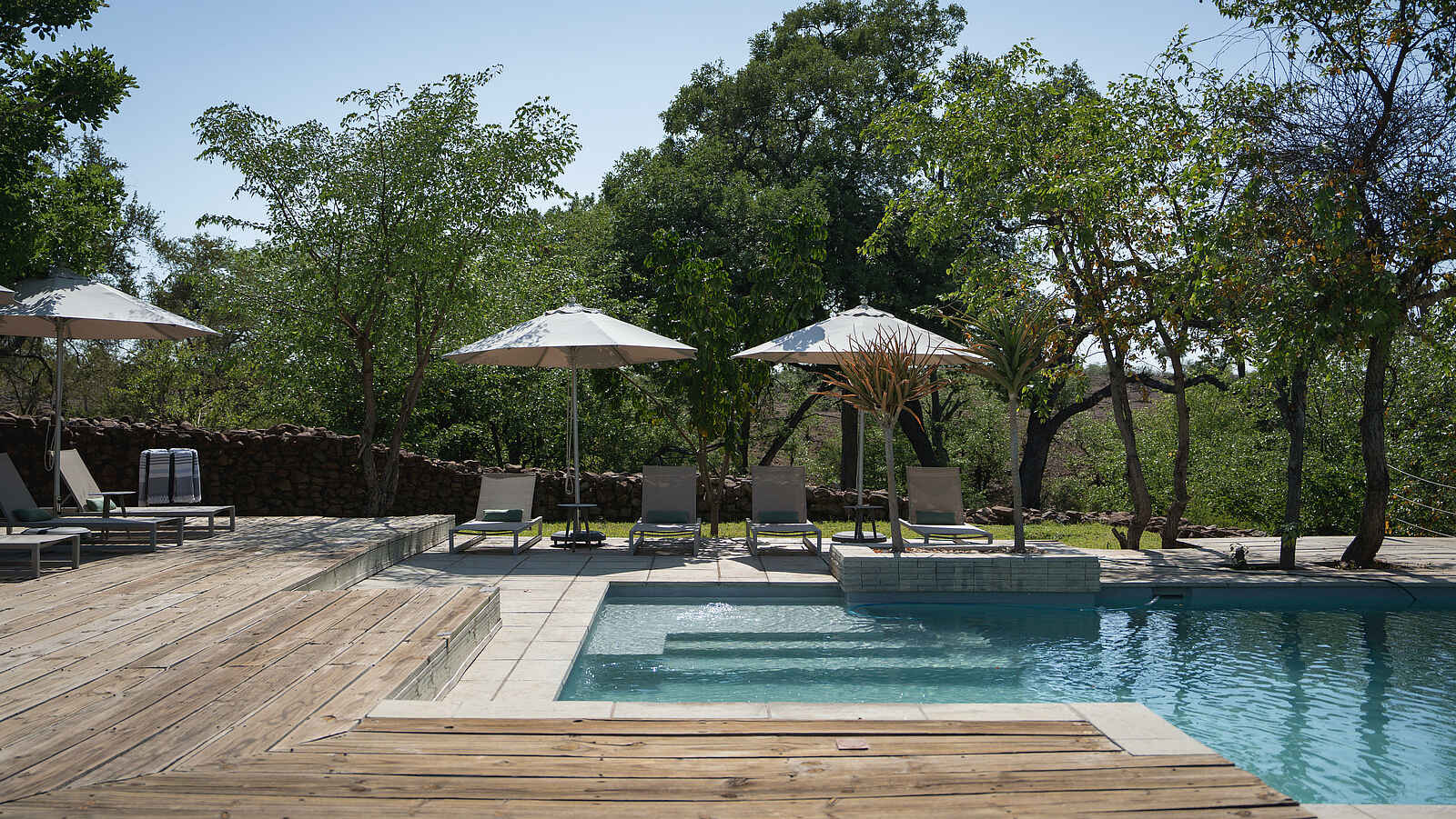 Mashatu Lodge: Poolbereich Mashatu Lodge: Poolbereich