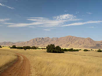 Okahirongo River Camp: Straße durch die Steppe Okahirongo River Camp: Straße durch die Steppe
