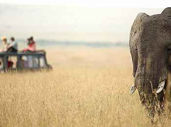 Rekero Camp: Elefant in der Masai Mara Rekero Camp: Elefant in der Masai Mara