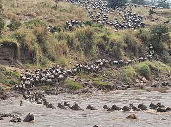 Serian Serengeti North: Das Ufer im Blick Serian Serengeti North: Das Ufer im Blick