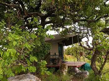 Karenge Bush Camp: Gästezelt im Schatten Karenge Bush Camp: Gästezelt im Schatten