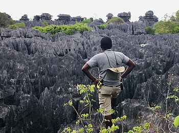 Namoroka Tsingy Camp: Blick über Tsingy