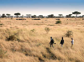 andBeyond Grumeti Serengeti River Lodge: Wandersafari andBeyond Grumeti Serengeti River Lodge: Wandersafari