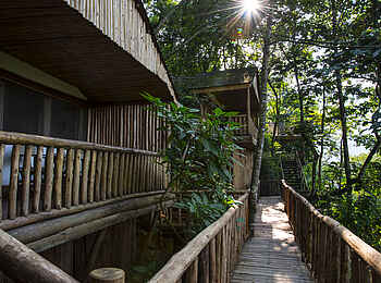 Buhoma Lodge: Stege im Wald