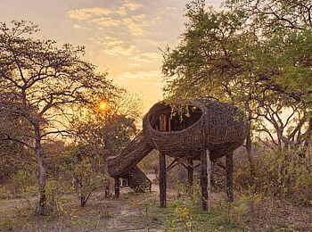 Chisa Busanga Camp: Nestl Ansicht