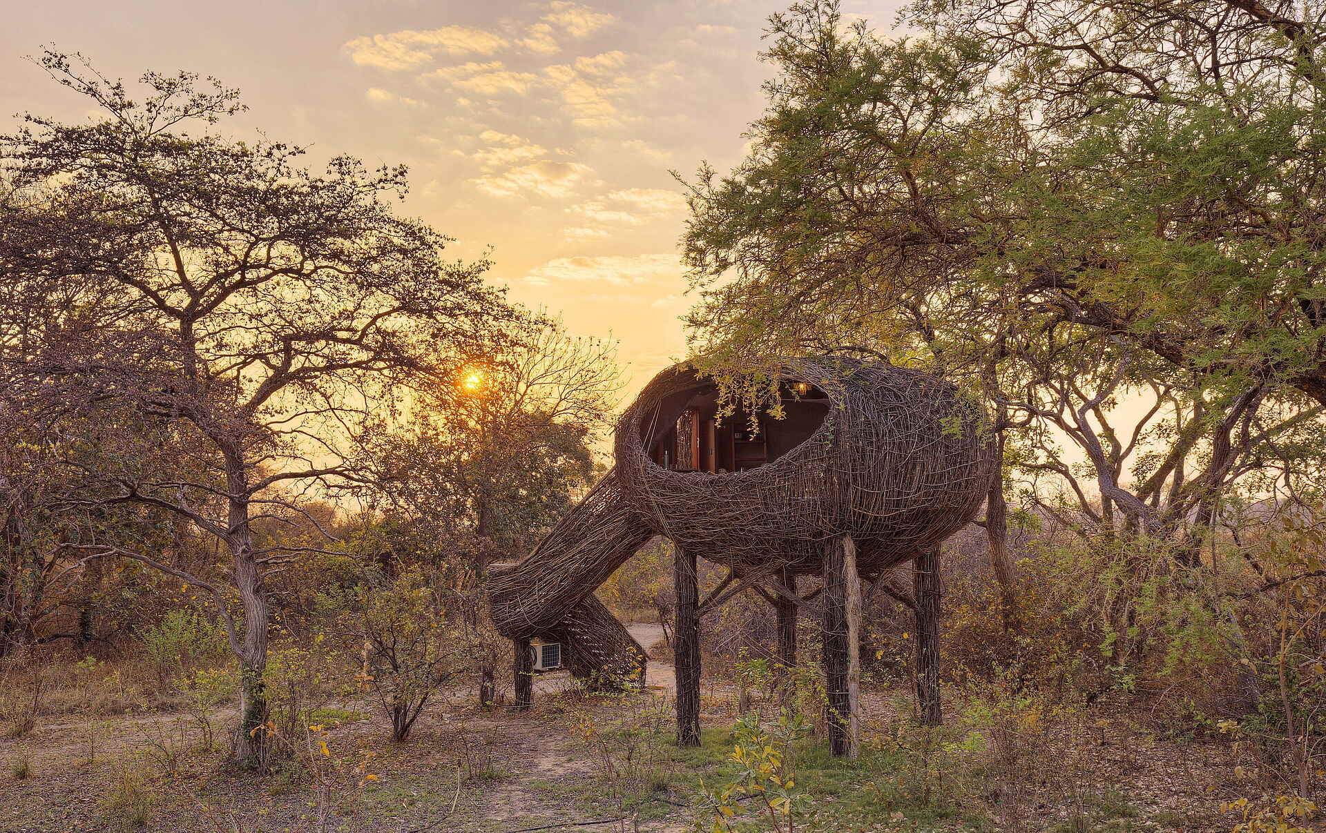 Chisa Busanga Camp: Nestl Ansicht