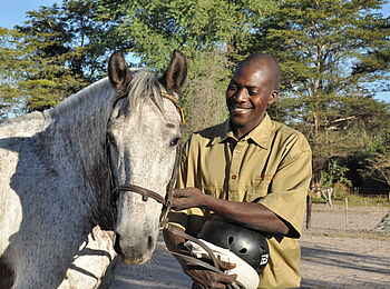 Chundukwa River Lodge: Reitpferd Chundukwa River Lodge: Reitpferd