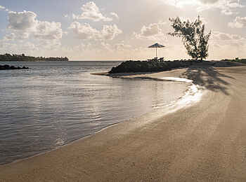 Constance Prince Maurice: Strand