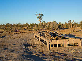 Elephant Pan Camp: Das Underground Hide