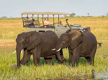 Linyanti Tented Camp: Game Drive